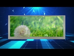 10,3 Zoll 1280*480 Beschlüsse Lcd-Anzeige mit großem Bildschirm für Automonitor