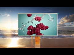 Alle Blickwinkel 10,1 Zoll Resistive Touch LCD Module